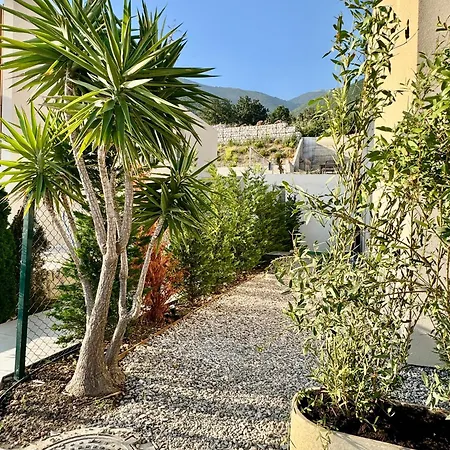 Green Condo Hotel Palase Aparthotel 3*